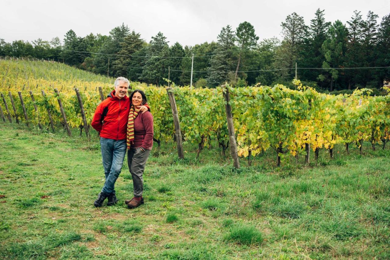 Podere Orto Wine Country House Trevinano Екстер'єр фото