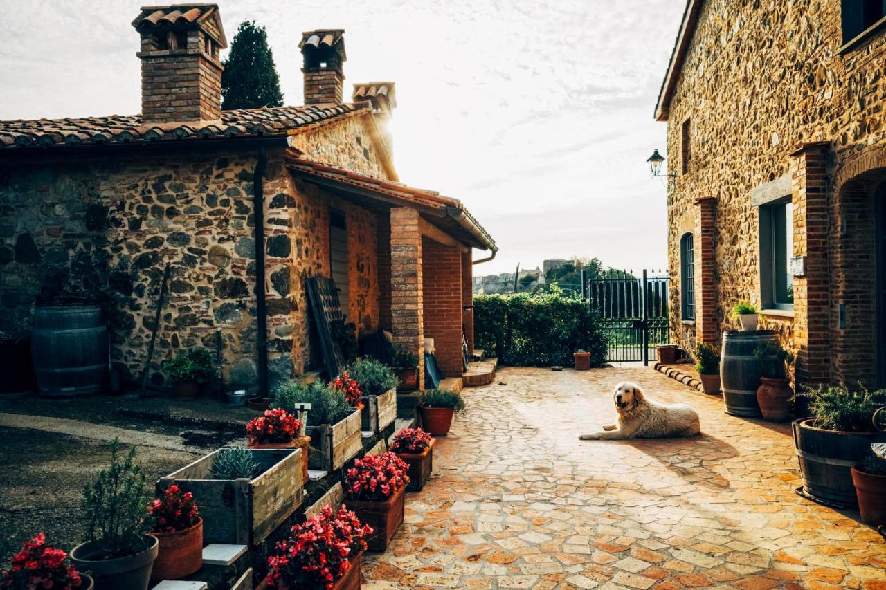 Podere Orto Wine Country House Trevinano Екстер'єр фото