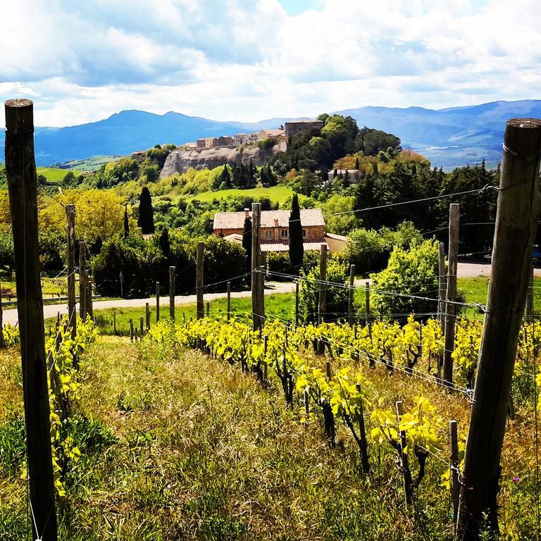 Podere Orto Wine Country House Trevinano Екстер'єр фото