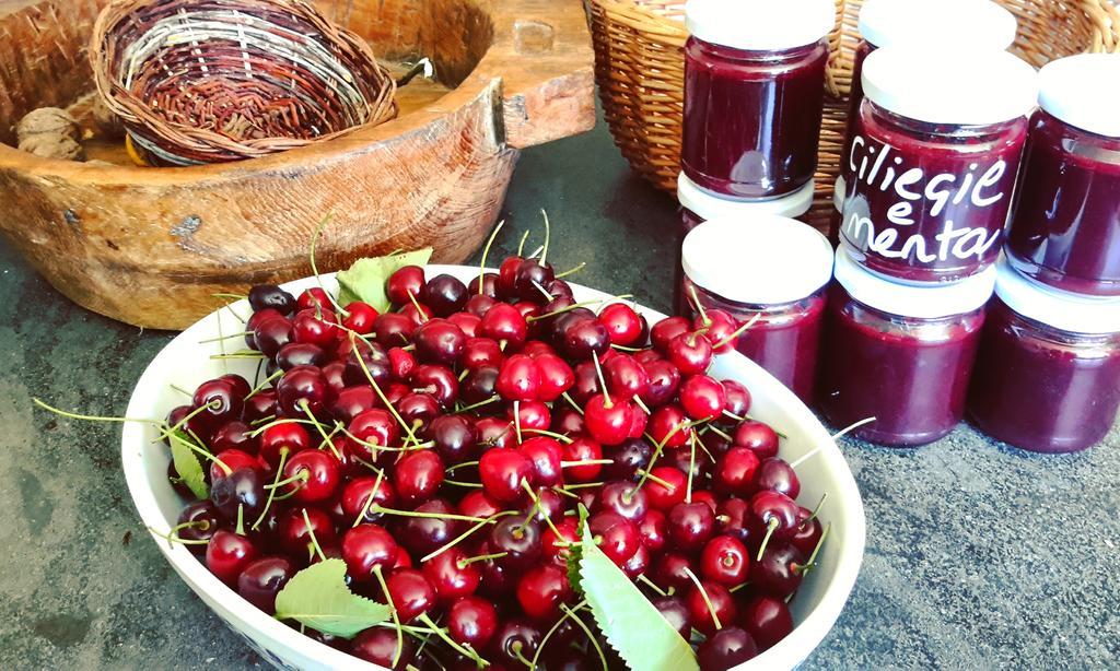 Podere Orto Wine Country House Trevinano Екстер'єр фото